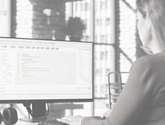 Loopback Development