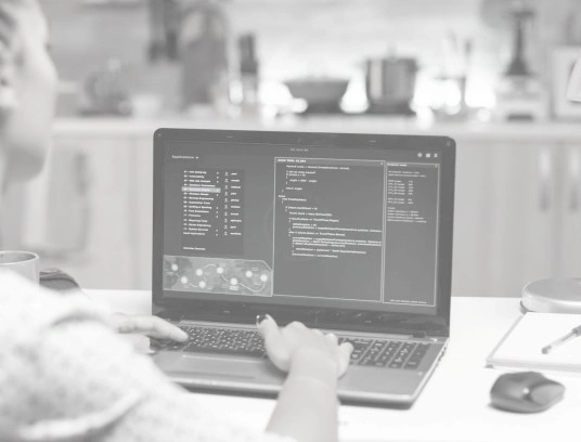 Laravel Development